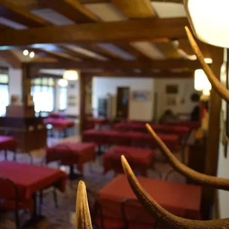 Bosco Verde Badia Prataglia