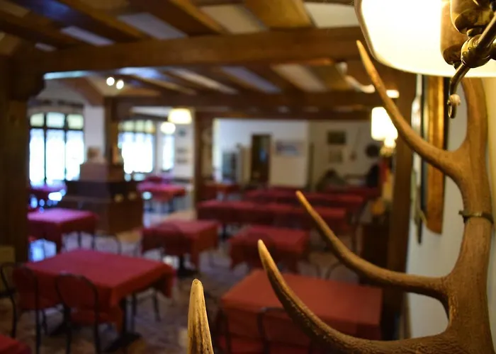 Bosco Verde Badia Prataglia